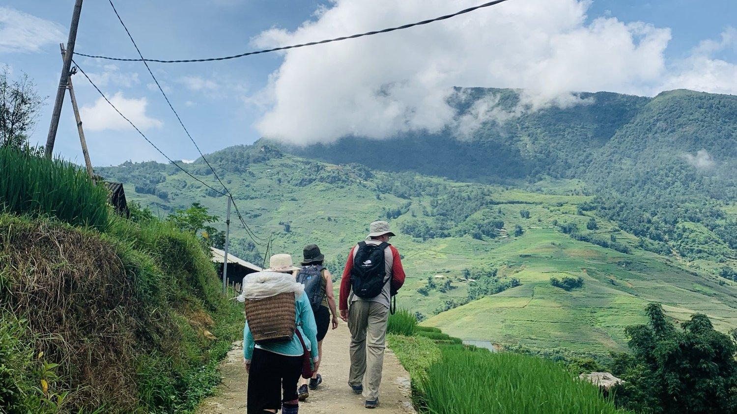 Muong Hoa Valley rice terraces